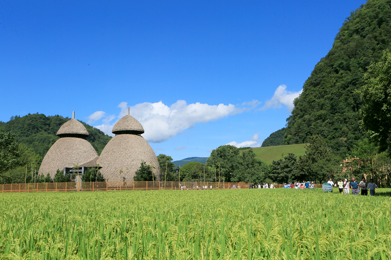 張家界黃龍洞：農(nóng)旅融合生態(tài)美，田園風(fēng)光引客來(lái)