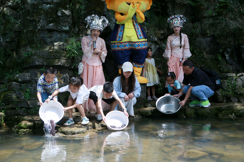 人工增殖放流百余尾幼苗，張家界黃龍洞“大鯢家園”再添新丁