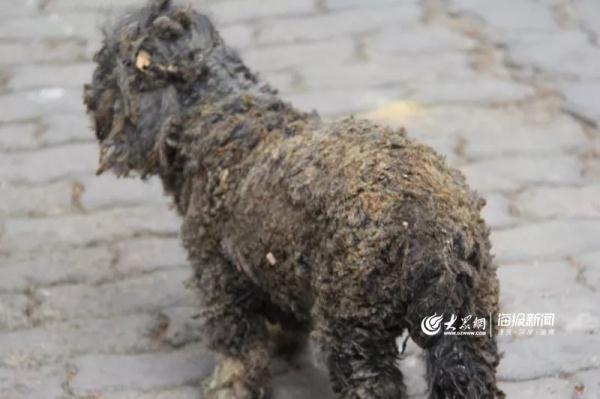 突發(fā)！青島一居民樓發(fā)生爆燃！已造1人死亡，7人受傷！3公里外有震感…